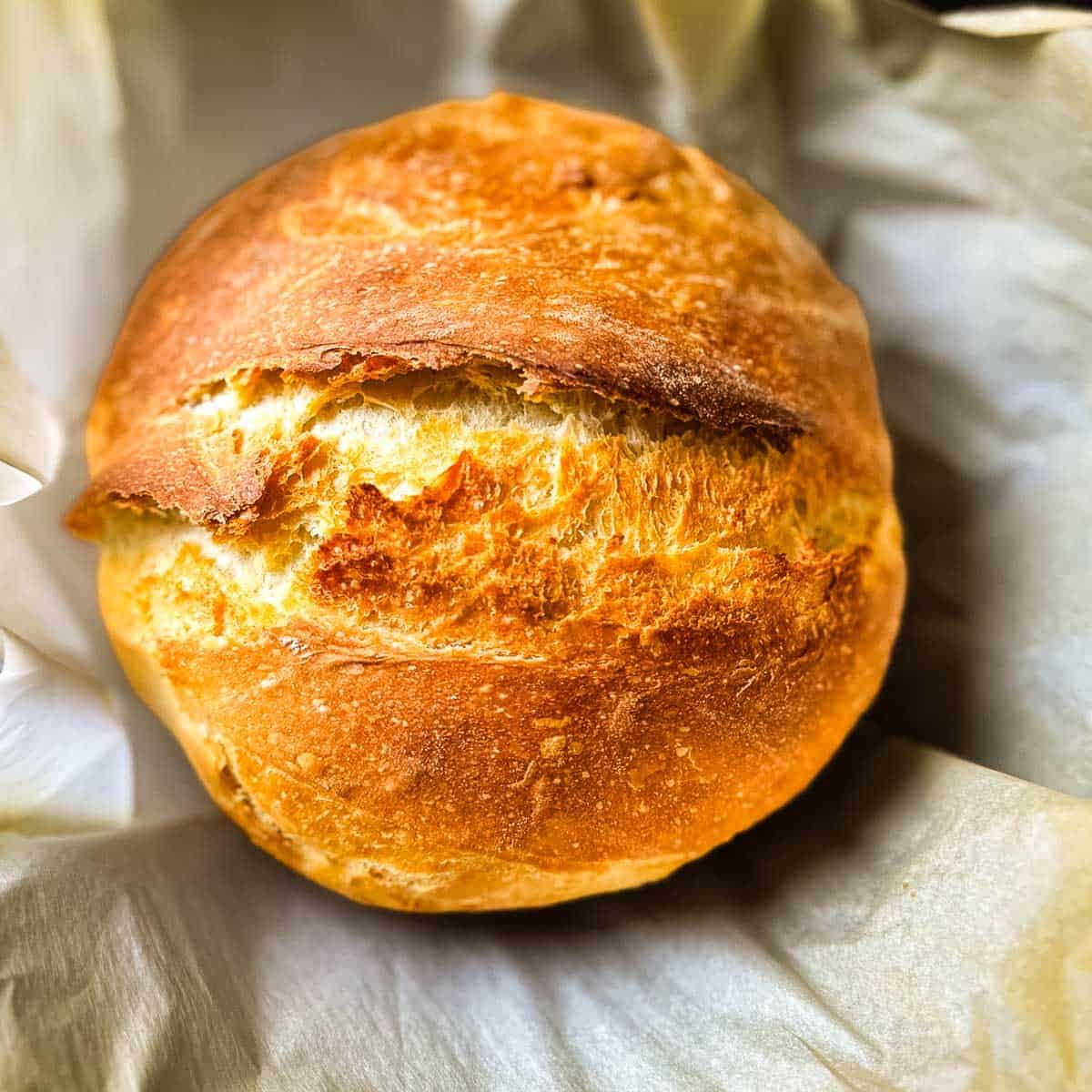 Mini Sourdough Rustic loaves