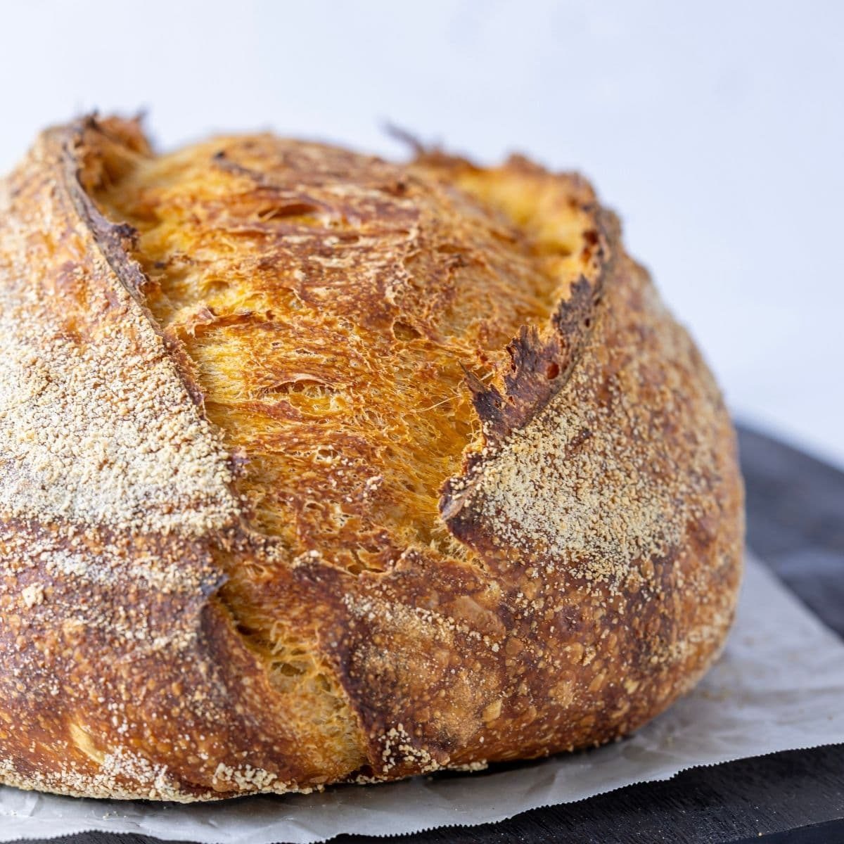 *New* Pumpkin Spice rustic loaf